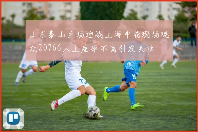 山东泰山主场迎战上海申花现场观众20766人上座率不高引发关注
