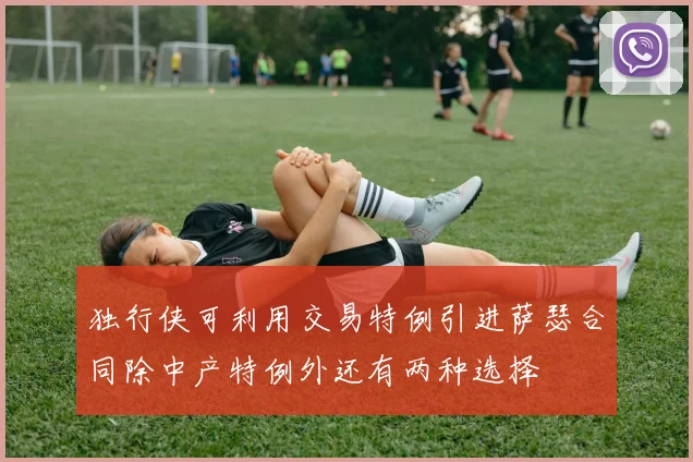 独行侠可利用交易特例引进萨瑟合同除中产特例外还有两种选择